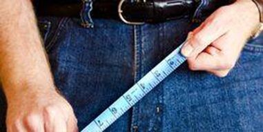 Dimensions of the male genital organ